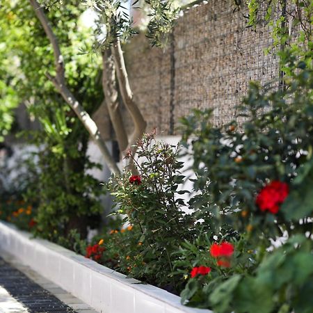Vila Feliz - Premium Rooms With Free Private Parking Vlore Bagian luar foto