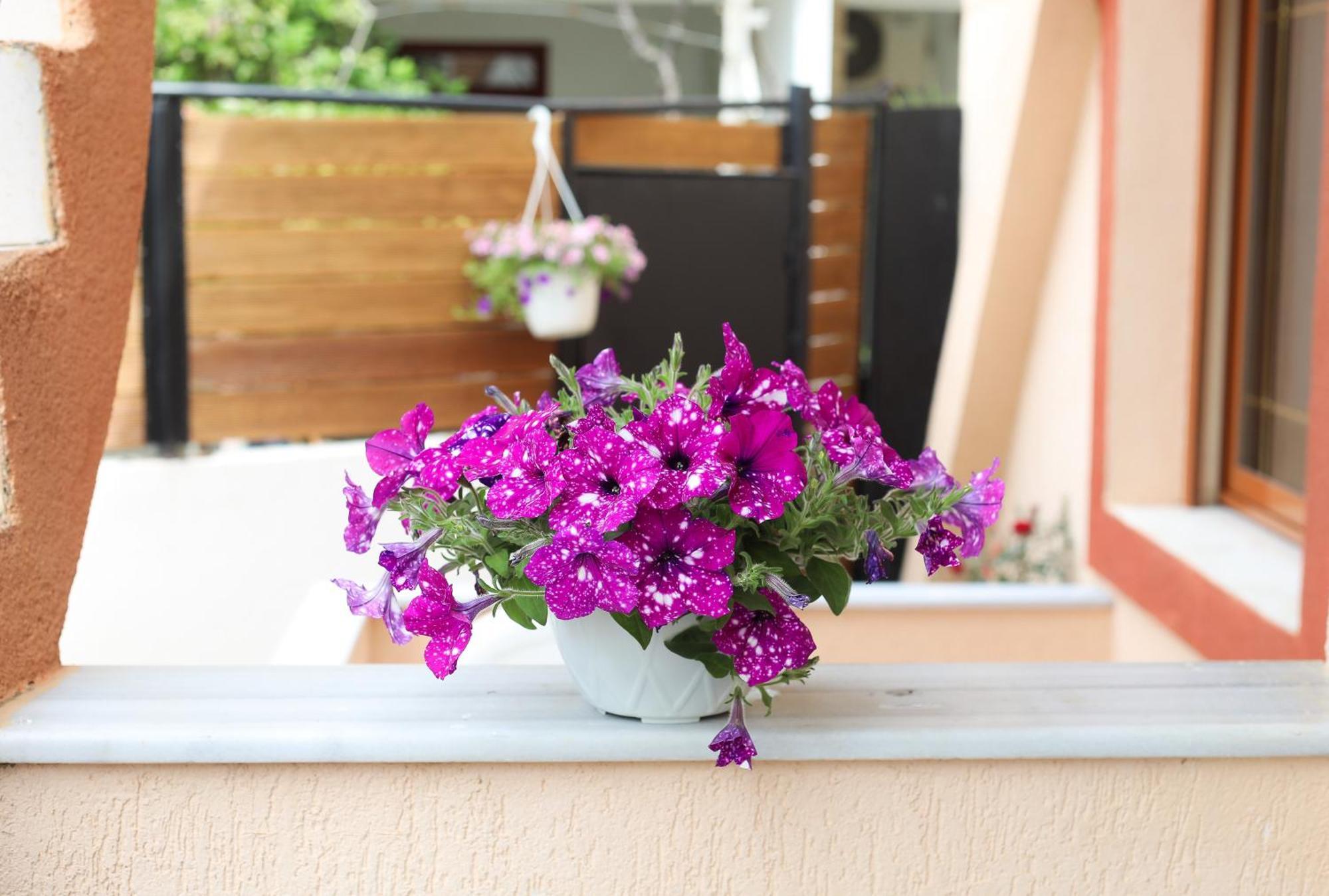 Vila Feliz - Premium Rooms With Free Private Parking Vlore Bagian luar foto