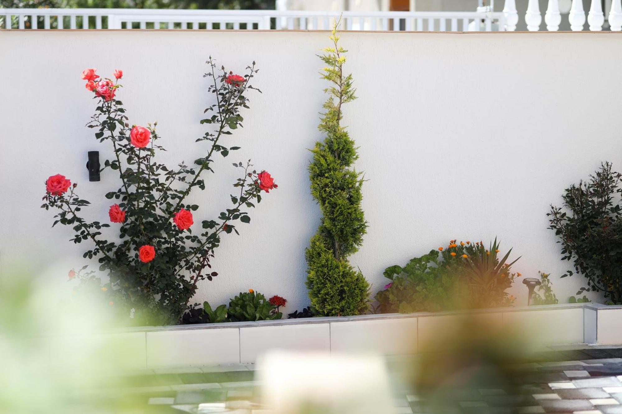 Vila Feliz - Premium Rooms With Free Private Parking Vlore Bagian luar foto