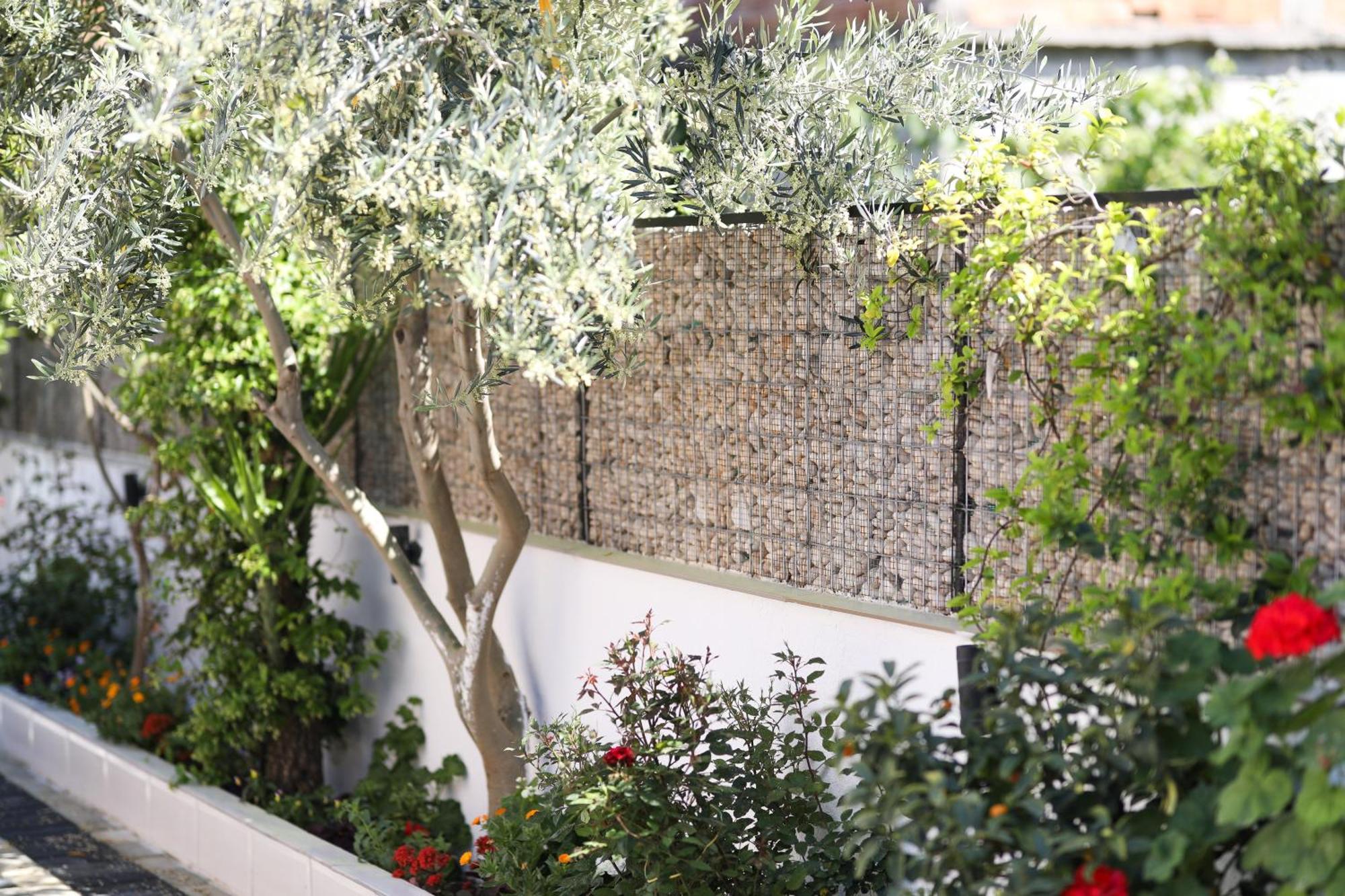 Vila Feliz - Premium Rooms With Free Private Parking Vlore Bagian luar foto